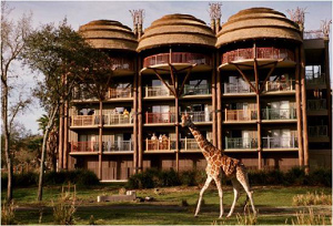 the popular lodge at animal kingdom inside disney world