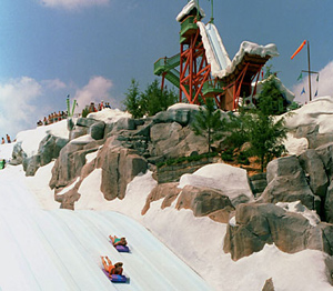 blizzard beach water park in orlando